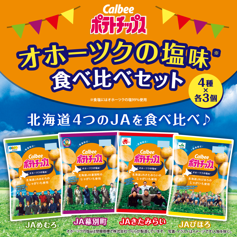 ポテトチップス　オホーツクの塩味　食べ比べセット（4種×各3個）