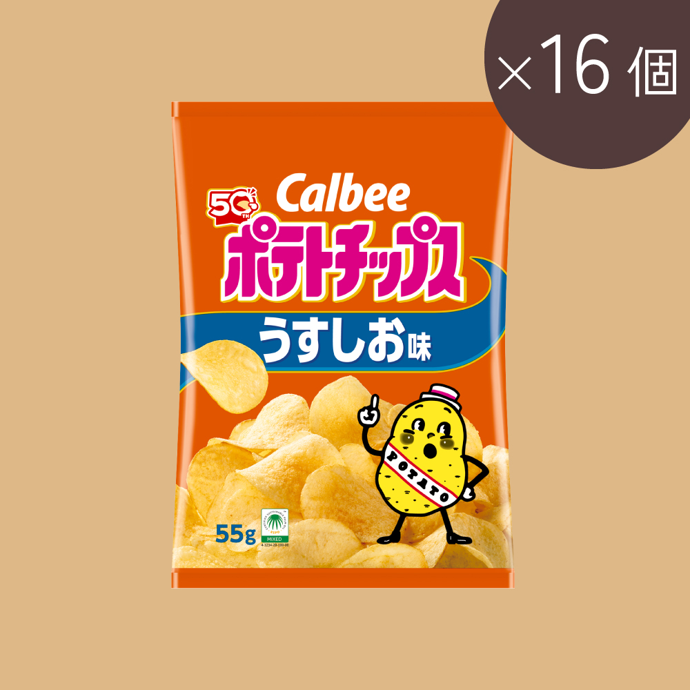 ポテトチップス　うすしお味（55g×16個）