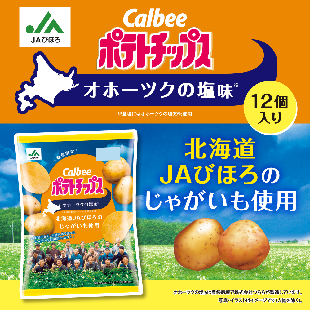 ポテトチップス　オホーツクの塩味（53g×12個）～ＪＡびほろのじゃがいも使用