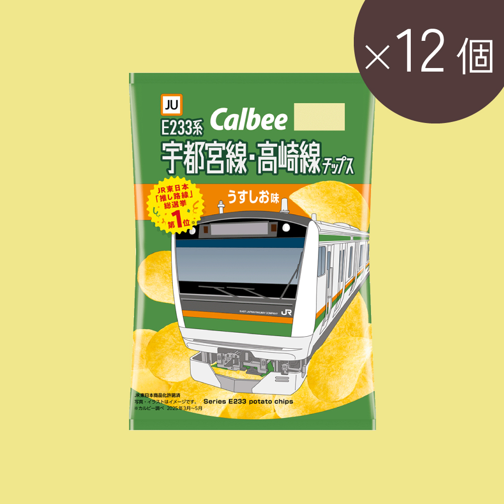 推し路線チップス うすしお味(60g×12個)
