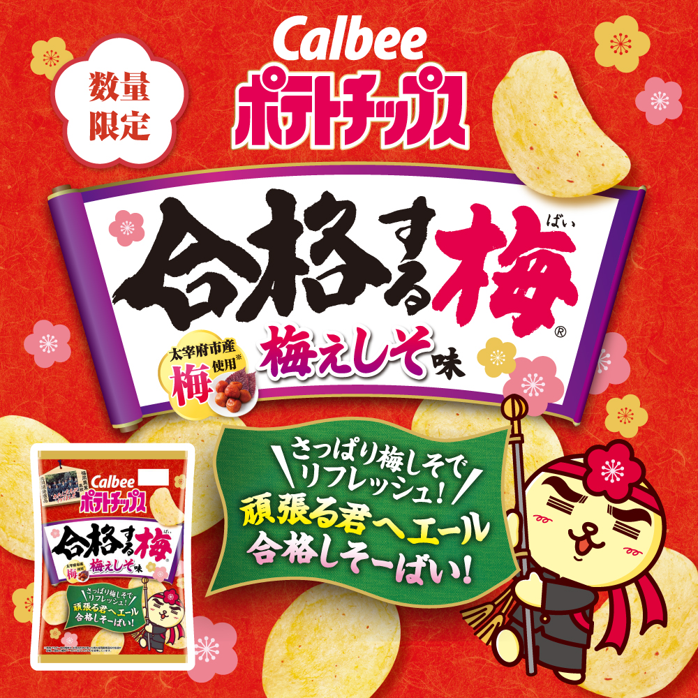 ポテトチップス合格する梅　梅ぇしそ味（55g×12個）