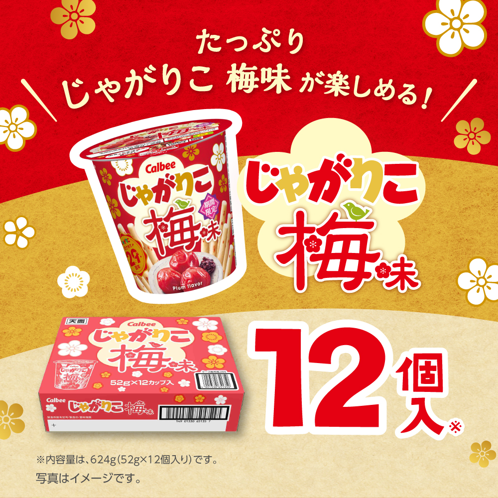 じゃがりこ　ジャガビー　ほたて貝ひも　おやつカルパス18袋　チップスター18個 じゃがりこ ジャガビー ほたて貝ひも ミニカルパス18袋 チップ