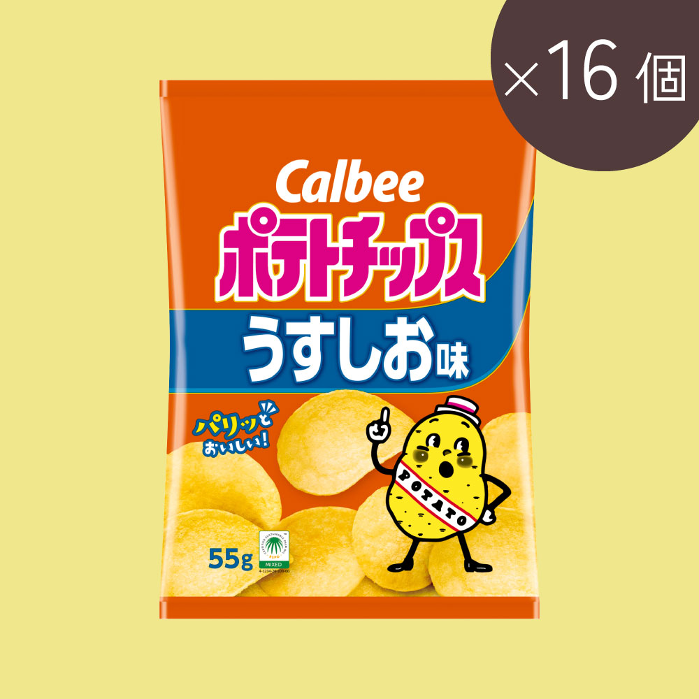 ポテトチップス　うすしお味（55g×16個）（55g / 16個）