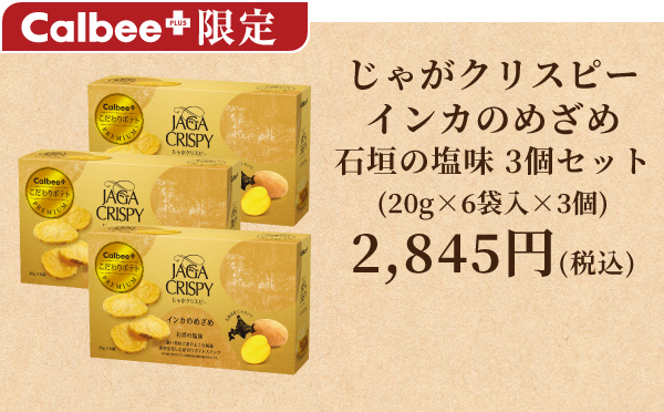 じゃがクリスピーインカのめざめ 20g×6袋入×3個 2,845円(税込)