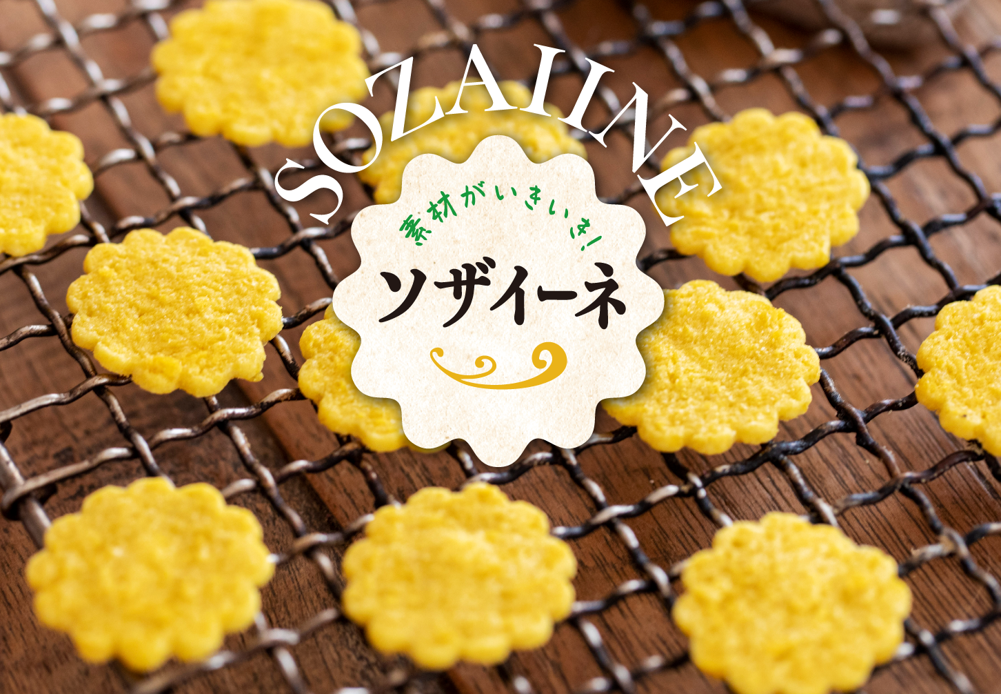 ソザイーネ とうもろこし