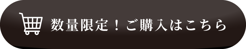 数量限定！ご購入はこちら