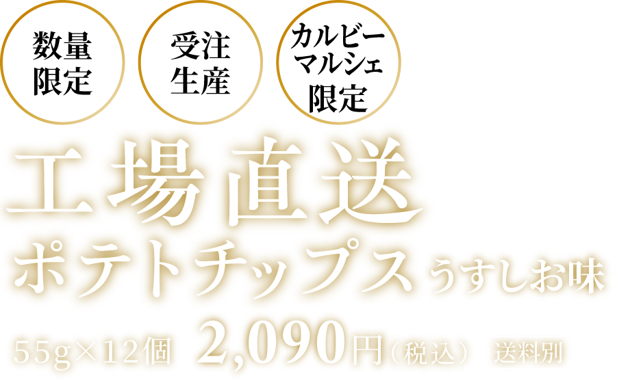 工場直送ポテトチップス うすしお味