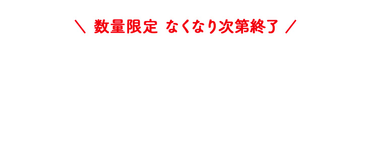数量限定 なくなり次第終了