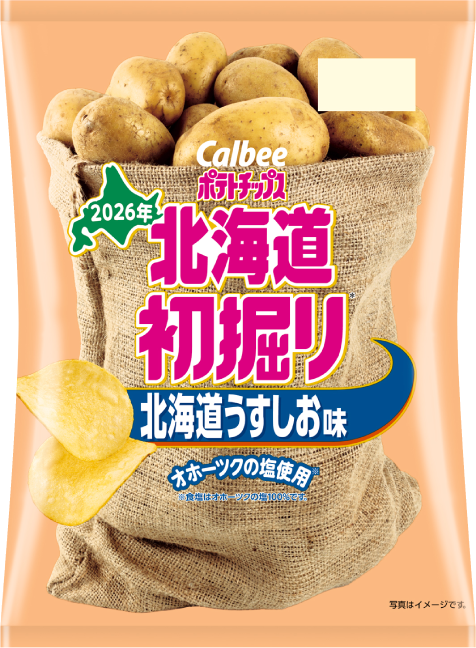 北海道初掘りポテトチップス 北海道うすしお味