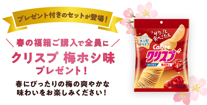 プレゼントキャンペーン