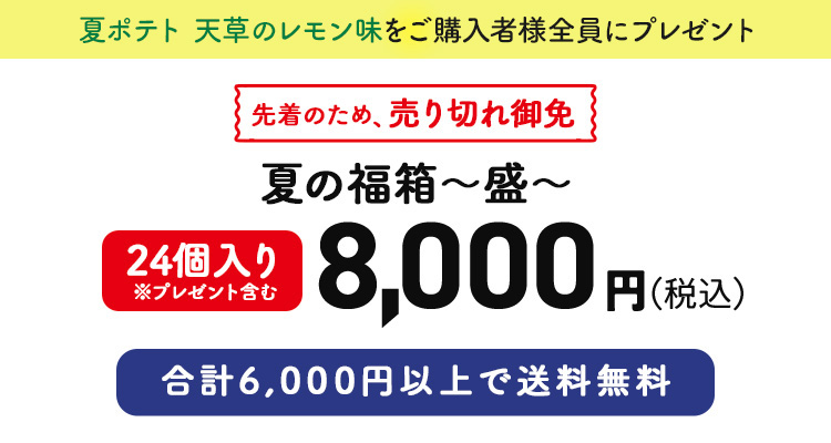 夏の福箱 ～盛～ 21個入り※プレゼント含む 8,000円（税込）
