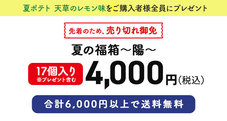 夏の福箱 ～陽～ 17個入り※プレゼント含む 4,000円（税込）