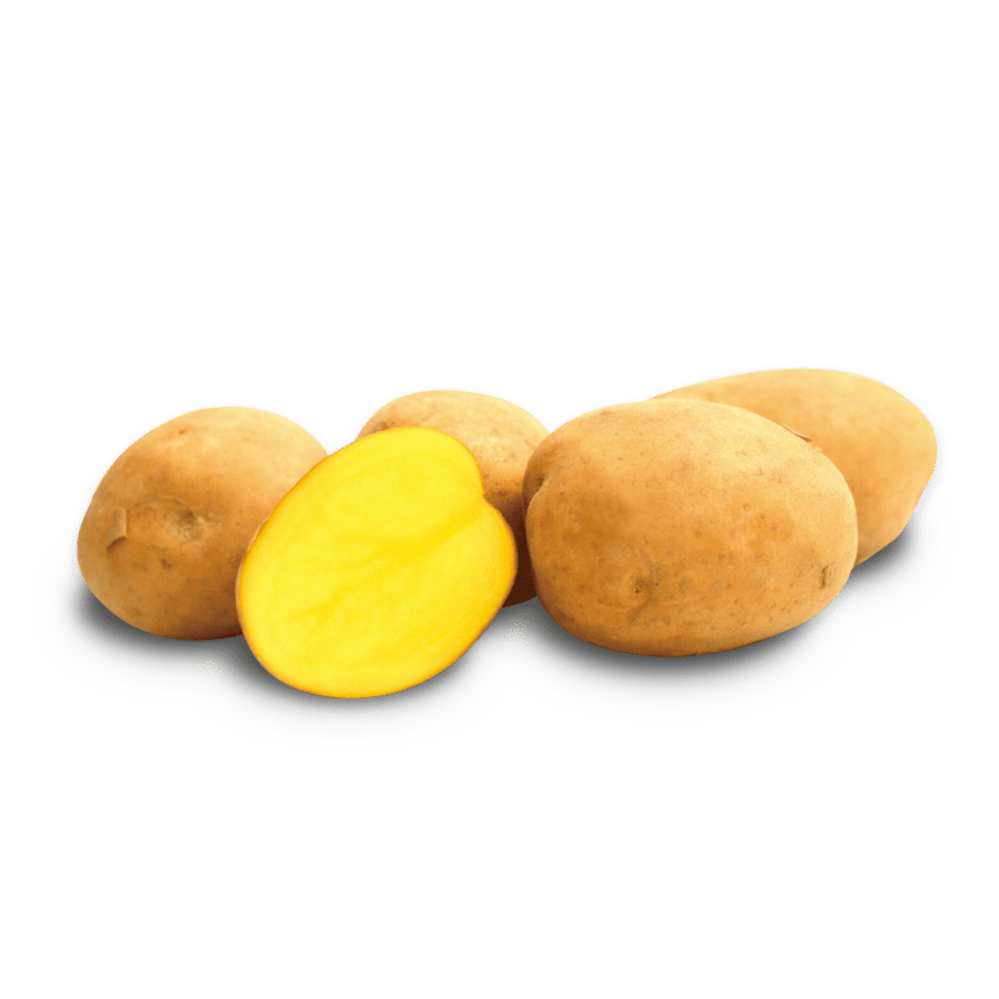 インカのめざめ