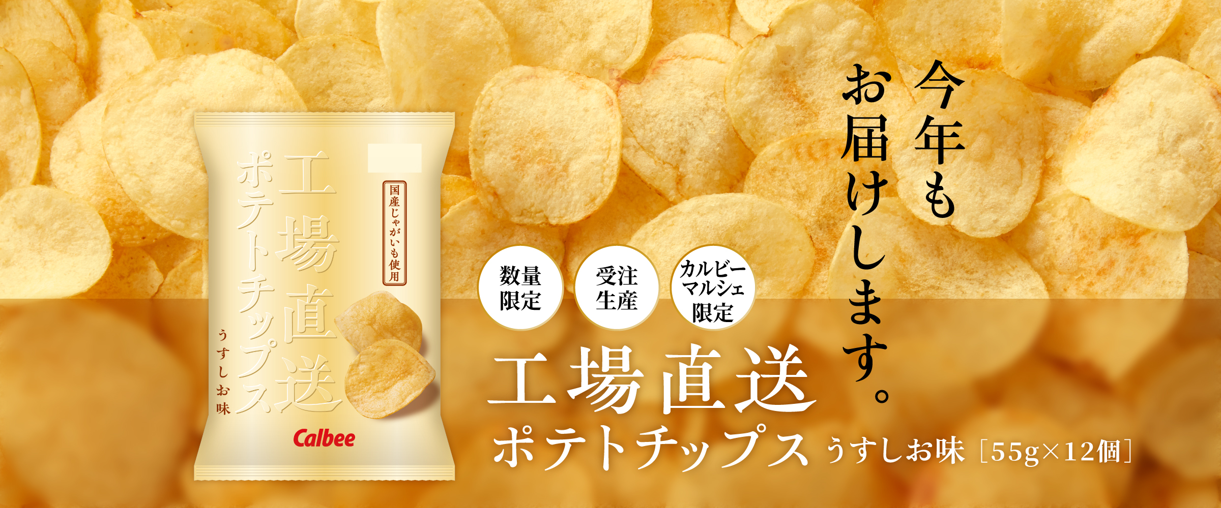 工場直送ポテトチップスうすしお味 受注販売 数量限定 カルビー公式 通販