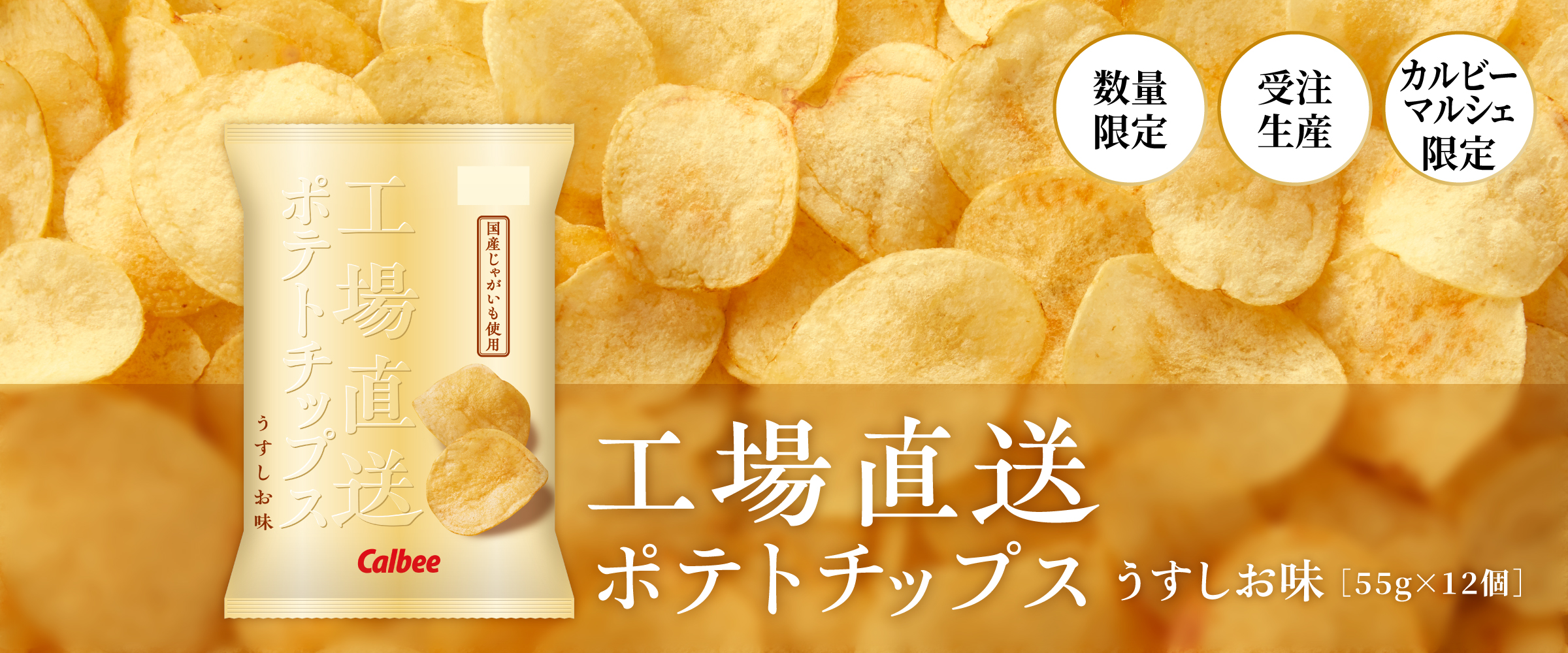 工場直送ポテトチップスうすしお味 受注販売 数量限定 カルビー公式 通販