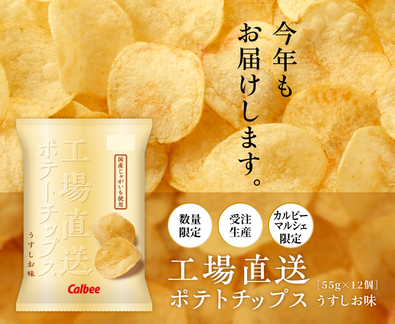 工場直送ポテトチップスうすしお味 受注販売 数量限定 カルビー公式 通販
