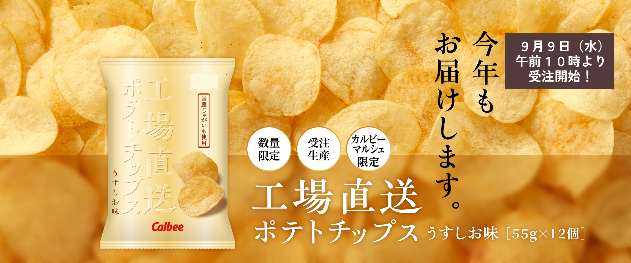 工場直送ポテトチップスうすしお味 受注販売 数量限定 カルビー公式 通販
