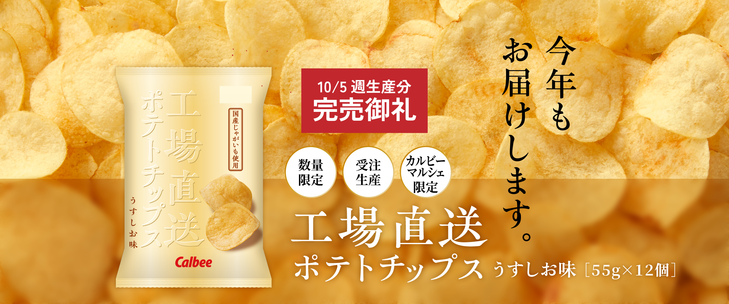工場直送ポテトチップスうすしお味 受注販売 数量限定 カルビー公式 通販